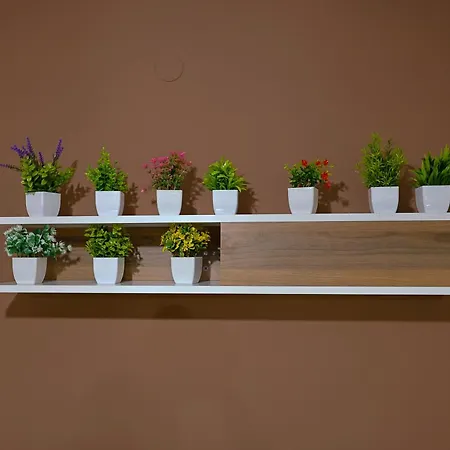 Zeusplace Alexandra's Pool Kateríni